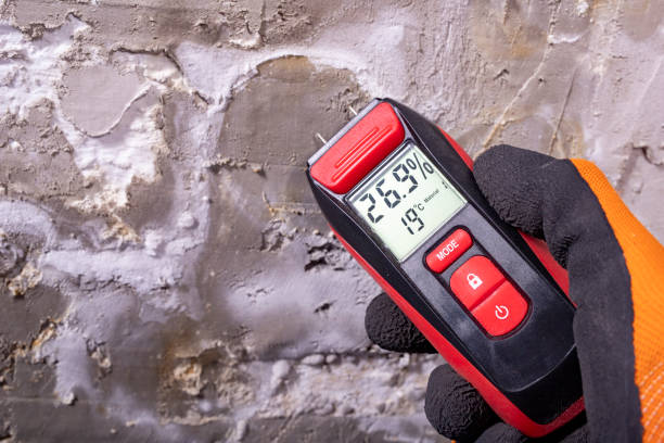 Best Crawl Space Mold Removal  in Bing, OR