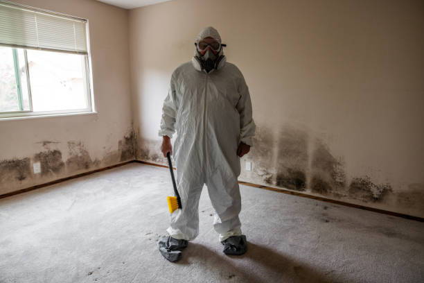 Best Certified Mold Removal  in Bing, OR